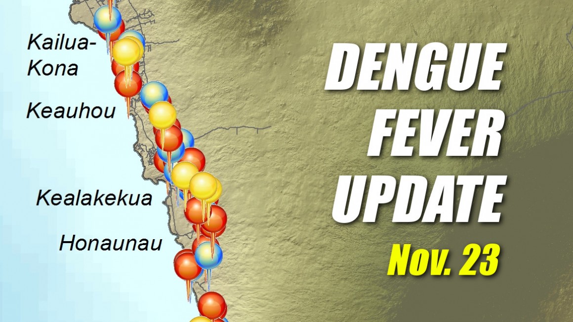 Hawaii Dengue Fever
